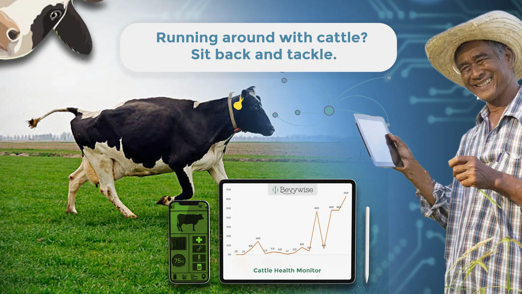 cattle management